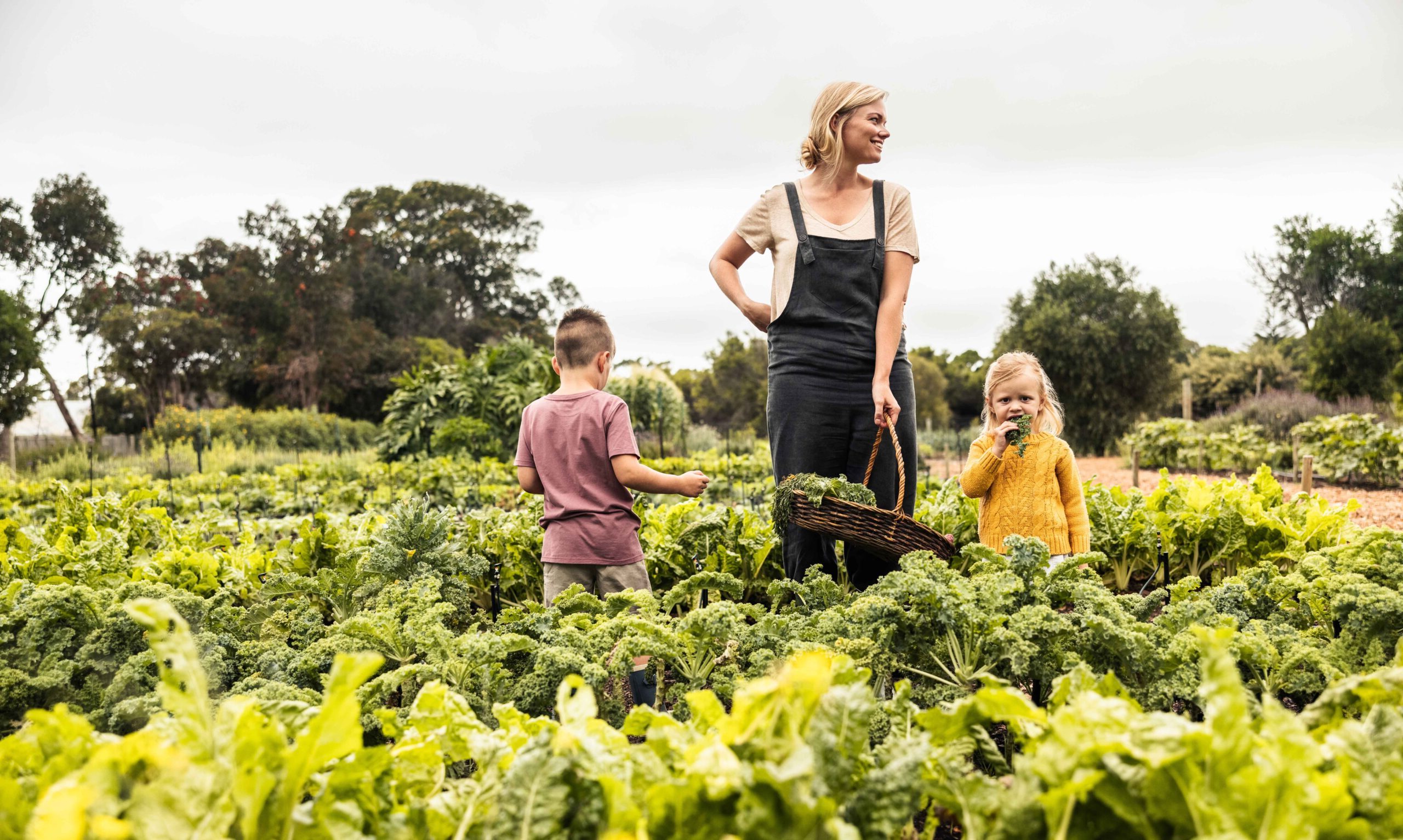 MicroAktiv-Akkerbouw (4)