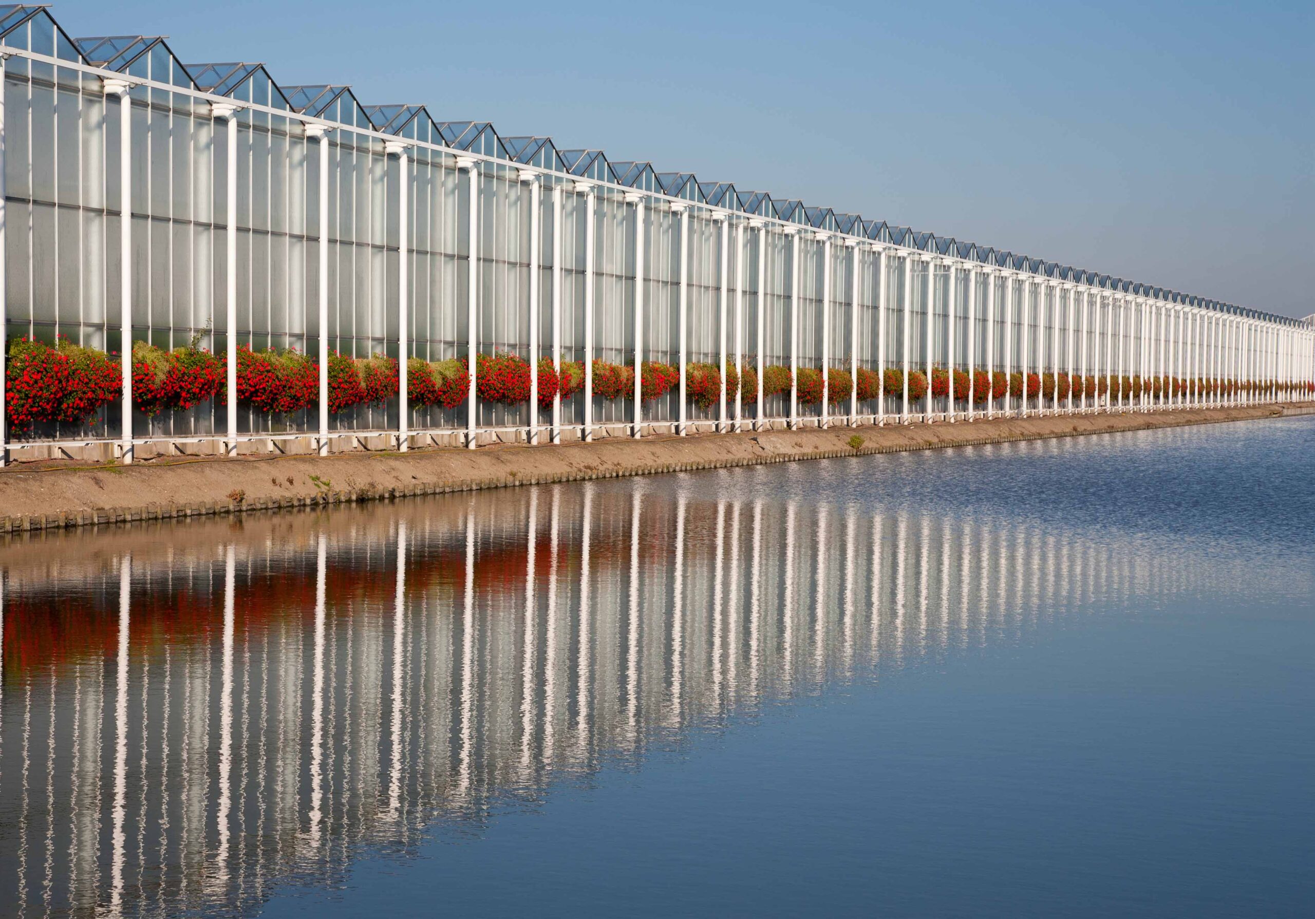 crecimiento excesivo de algas
