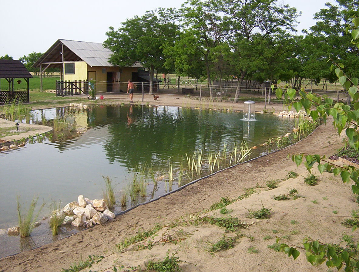 Waterbodemsanering, algencontrole, oppervlaktewater verontreiniging, Remediación del fondo del agua, control de algas, contaminación de aguas superficiales, Bottensanering av vatten, algbekämpning, ytvattenföroreningar, Oprensning af vandbunden, algebekæmpelse, forurening af overfladevand, Sanierung des Gewässergrunds, Algenbekämpfung, Oberflächenwasserverschmutzung, Water bottom remediation, algae control, surface water pollution, Bonifica dei fondali, controllo delle alghe, inquinamento delle acque superficiali, Remediação do fundo do mar, controlo de algas, poluição das águas superficiais, Bottensanering av vatten, algbekämpning, ytvattenföroreningar