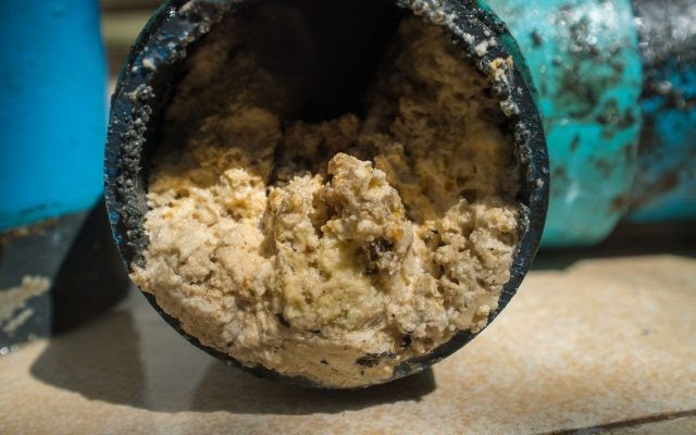 grease in drain afvoerreiniging