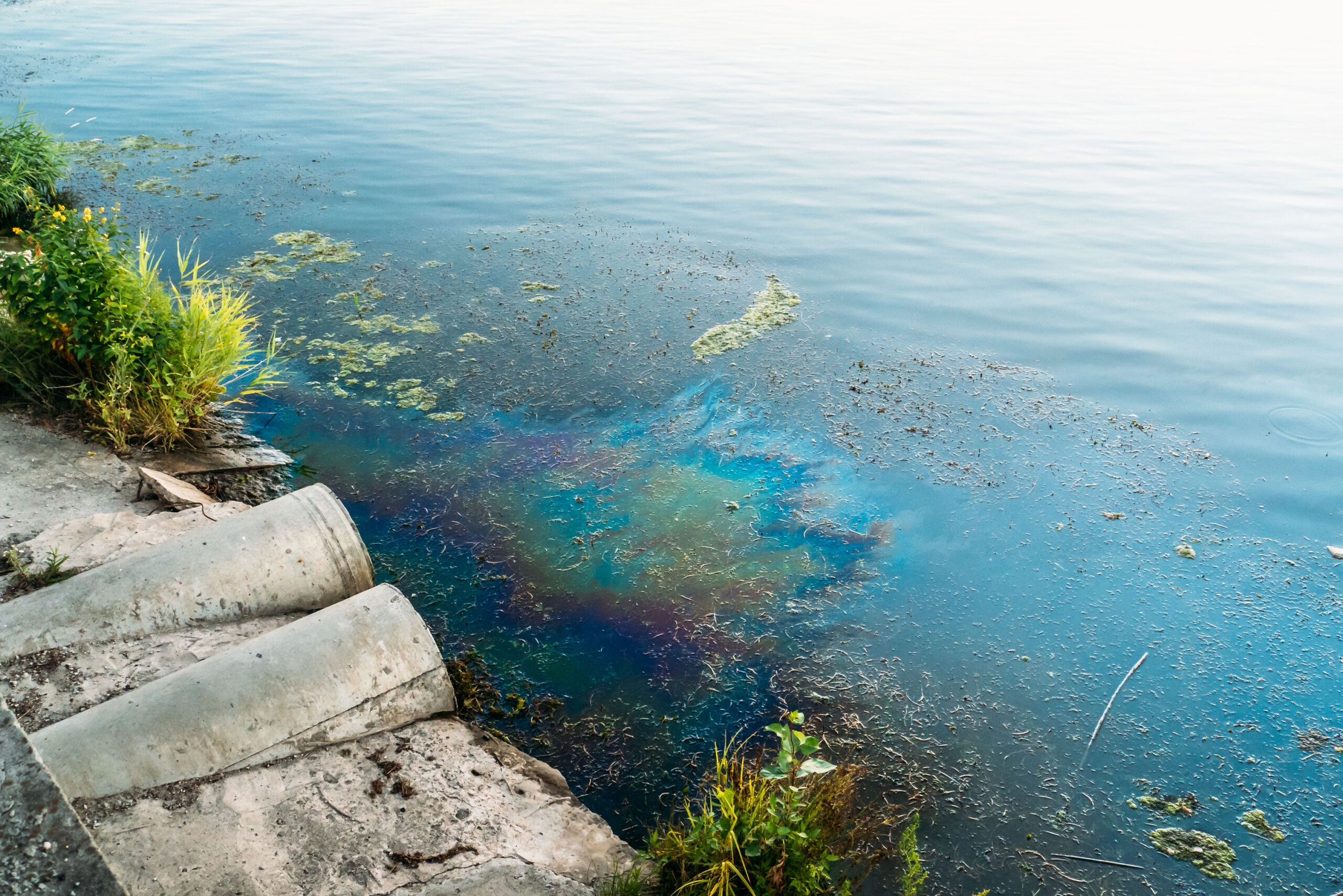 surfacewater_polution_web Waterbodemsanering, algencontrole, oppervlaktewater verontreiniging, Remediación del fondo del agua, control de algas, contaminación de aguas superficiales, Bottensanering av vatten, algbekämpning, ytvattenföroreningar, Oprensning af vandbunden, algebekæmpelse, forurening af overfladevand, Sanierung des Gewässergrunds, Algenbekämpfung, Oberflächenwasserverschmutzung, Water bottom remediation, algae control, surface water pollution, Bonifica dei fondali, controllo delle alghe, inquinamento delle acque superficiali, Remediação do fundo do mar, controlo de algas, poluição das águas superficiais, Bottensanering av vatten, algbekämpning, ytvattenföroreningar