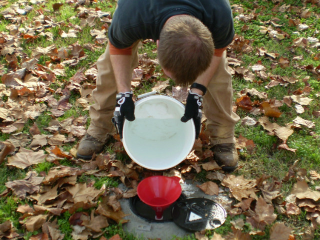 aceptores de electrones, electron acceptors, elektronen acceptoren, accepteurs d'électrons, aceptores de eletrões, accettori di elettroni, elektronacceptorer, Elektronenakzeptoren, elektronacceptorer