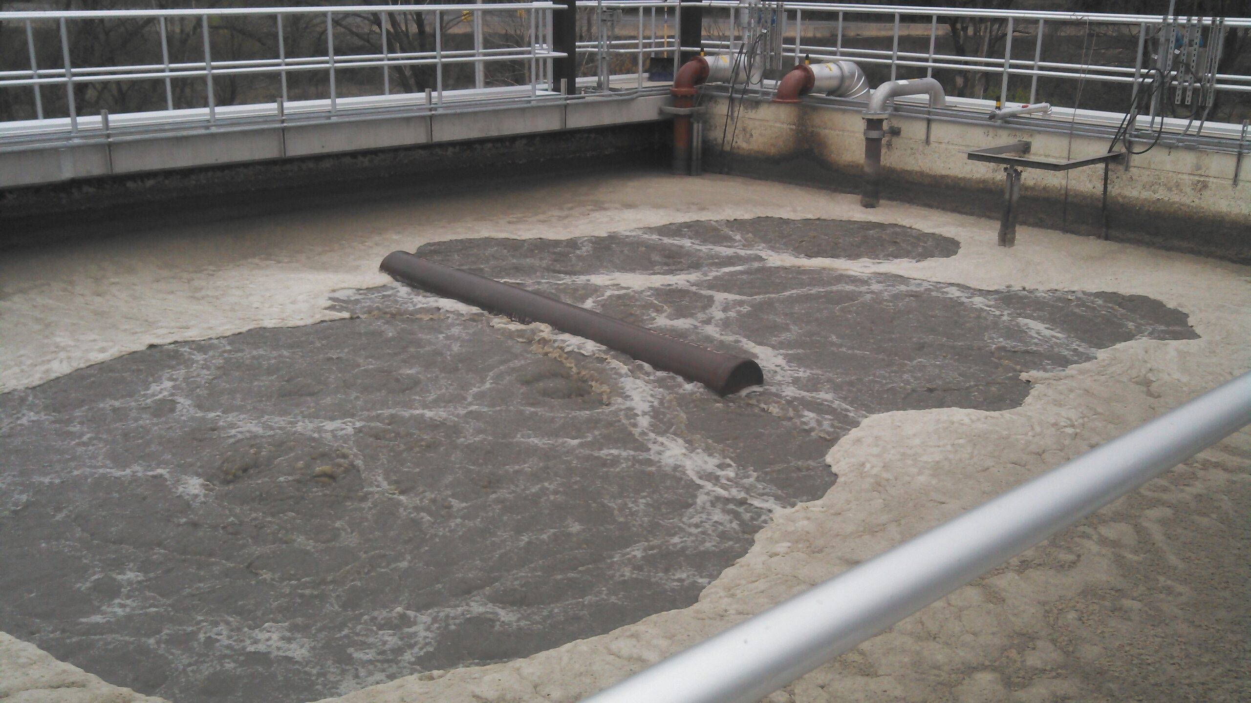 Licht slib & schuimvorming, Formación ligera de lodos y espuma son un problema, lodo flutuante e formação de espuma, Filamentous bacteria and foam formation, Filamentøse bakterier og skumdannelse, Fadenbakterien und Schaumbildung, Batteri filamentosi e formazione di schiuma, Filamentösa bakterier och skumbildning