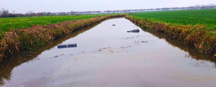 Oppwaterveront_01 Waterbodemsanering, algencontrole, oppervlaktewater verontreiniging, Oprensning af vandbunden, algebekæmpelse, forurening af overfladevand, Water bottom remediation, algae control, surface water pollution, Assainissement des fonds marins, contrôle des algues, pollution des eaux de surface, Bonifica dei fondali, controllo delle alghe, inquinamento delle acque superficiali, Remediação do fundo do mar, controlo de algas, poluição das águas superficiais, Remediación del fondo del agua, control de algas, contaminación de aguas superficiales, Bottensanering av vatten, algbekämpning, ytvattenföroreningar