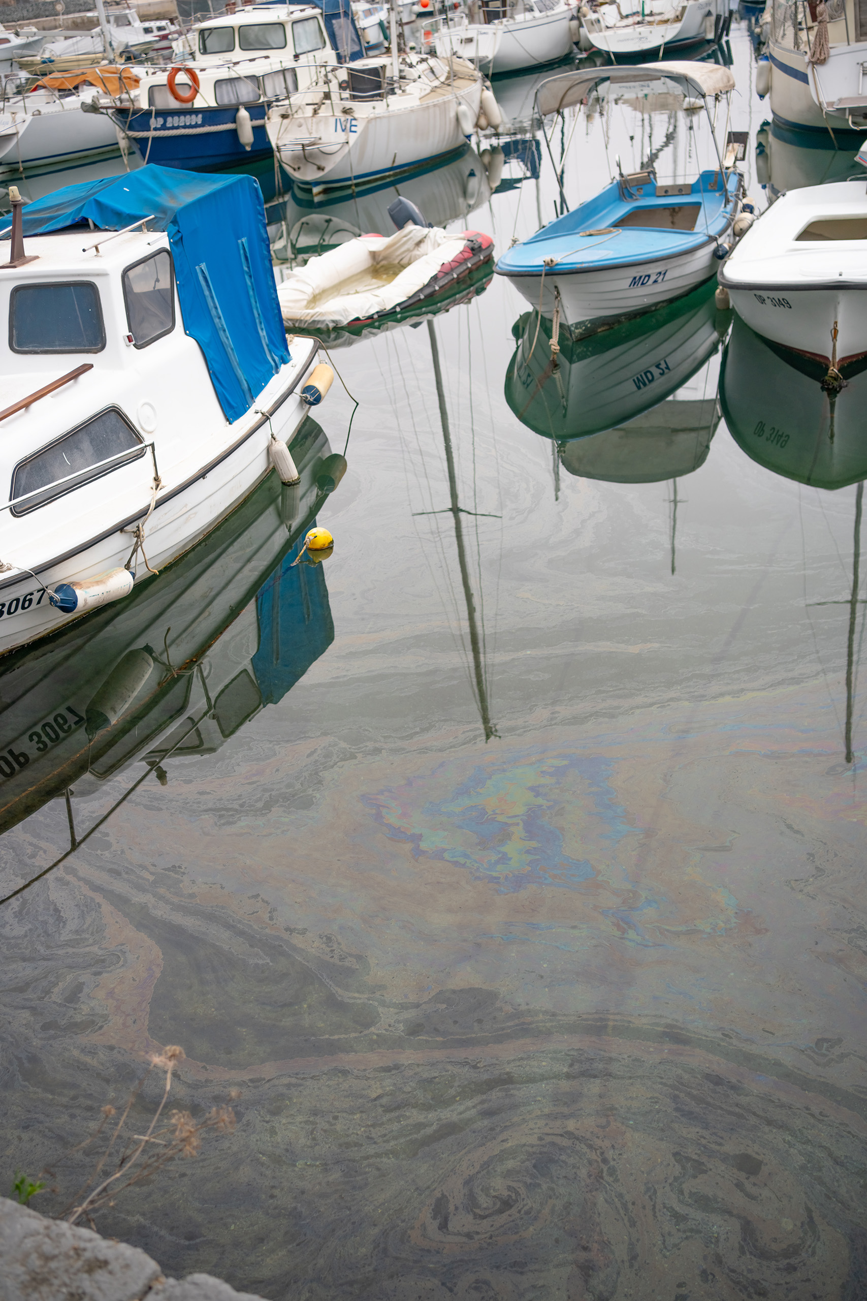 Waterbodemsanering, algencontrole, algen groei, oppervlaktewater verontreiniging, Oprensning af vandbunden, algebekæmpelse, algevækst, eutrofiering,forurening af overfladevand, Sanierung des Gewässergrunds, Algenbekämpfung, Oberflächenwasserverschmutzung, Water bottom remediation, algae control, surface water pollution, Assainissement des fonds marins, contrôle des algues, pollution des eaux de surface, Bonifica dei fondali, controllo delle alghe, inquinamento delle acque superficiali, Remediação do fundo do mar, controlo de algas, poluição das águas superficiais, Remediación del fondo del agua, control de algas, contaminación de aguas superficiales, Bottensanering av vatten, algbekämpning, ytvattenföroreningar, oil slick
