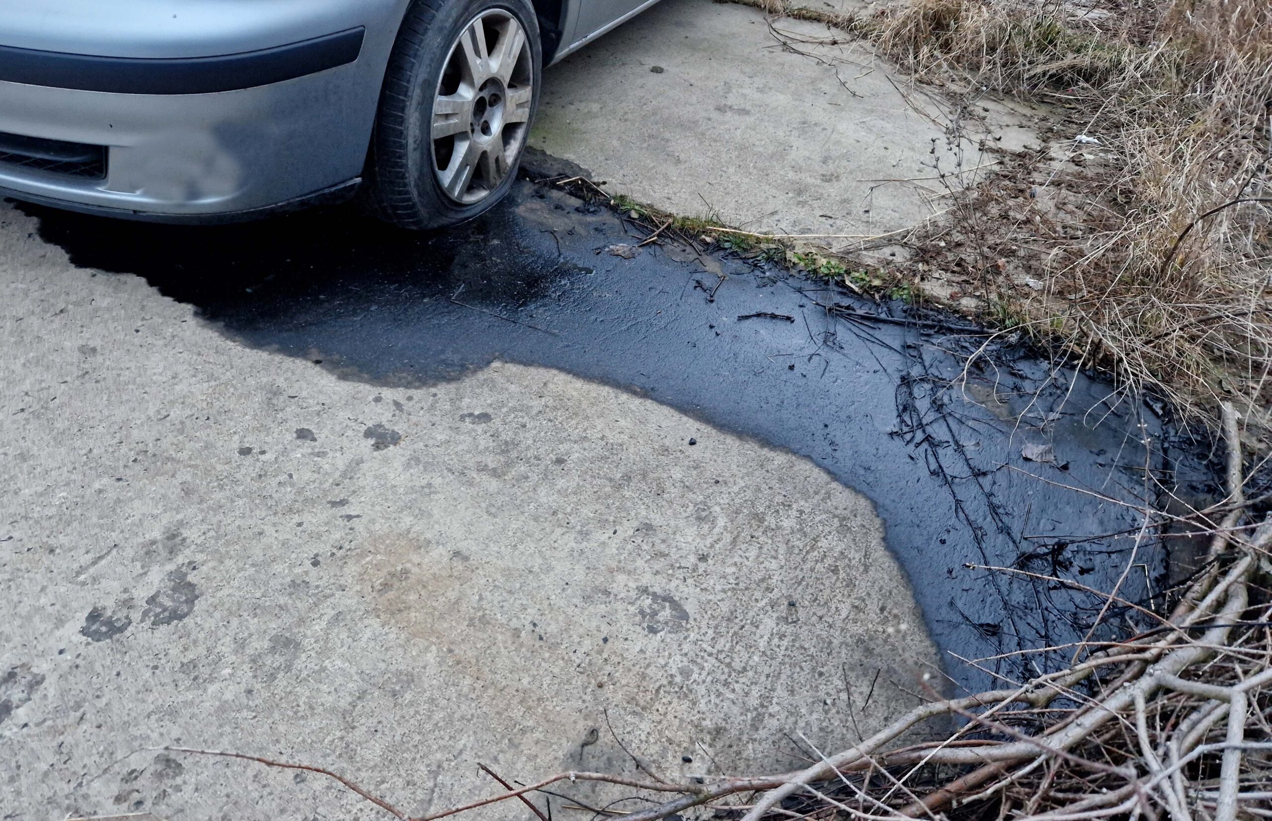 Waterbodemsanering, algencontrole, algen groei, oppervlaktewater verontreiniging, Oprensning af vandbunden, algebekæmpelse, algevækst, eutrofiering,forurening af overfladevand, Sanierung des Gewässergrunds, Algenbekämpfung, Oberflächenwasserverschmutzung, Water bottom remediation, algae control, surface water pollution, Assainissement des fonds marins, contrôle des algues, pollution des eaux de surface, Bonifica dei fondali, controllo delle alghe, inquinamento delle acque superficiali, Remediação do fundo do mar, controlo de algas, poluição das águas superficiais, Remediación del fondo del agua, control de algas, contaminación de aguas superficiales, Bottensanering av vatten, algbekämpning, ytvattenföroreningar, oil slick