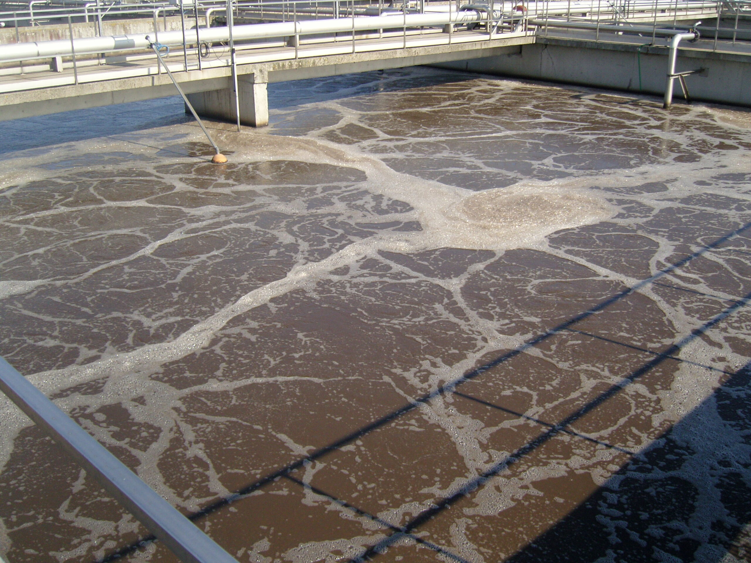 SAMSUNG DIGITAL CAMERA